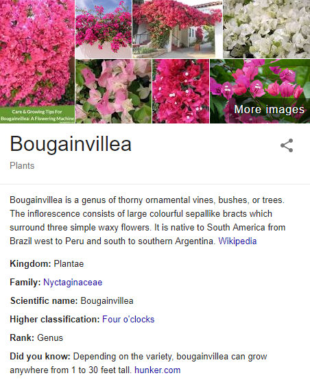 12.PNG